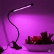 Գ   Plant Grow Light 20LED 10W USB 