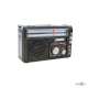   "Golon RX-382"    USB/TF 