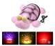    Night turtle -  , 3527 
