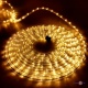     8  Xmas Rope Light WW  