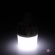   Mobile Emergency Charging Lamp ZJ:V50 +   20W LED Intelligent Bulb
