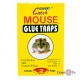     "Catch Expert - Mouse glue traps" 2  1318 
