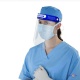     Face Shield (10 ./.)