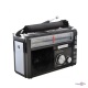   "Golon RX-382"    USB/TF 