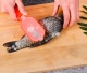    Fish Sharpener