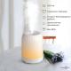      Sleeping Fragrance Lamp K20