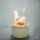 ���������� �������� Ethanol Lamp ���� �����-����� �� �������