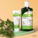     Bisheffect 500    ,    