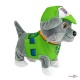     "Paw patrol"   2221 