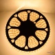 ĳ  220     SMD Strip 5050 - 100  