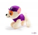 '  Paw Patrol    .(18-20 )