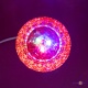     RHD-48 - 3D    ()