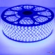   SMD 5050- Strip   100 ,   