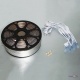   SMD 5050- Strip   100 ,   