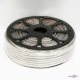 ĳ  220     SMD Strip 5050 - 100  