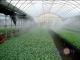   Patio Mist Cooling kit 9.6 