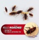    -    "Roach Doctor Cockroach Gel" 30