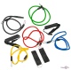    Power Bands 11 