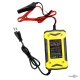    Pulse repair charger 6A 12V ׸-