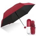 Кишенькова парасолька капсула - маленька жіноча парасоля Capsule Umbrella, 17 см
