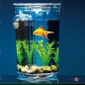 Маленький акваріум для риб - наноакваріум My Fun Fish з системою самоочищення