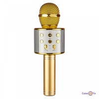 Караоке мікрофон з динаміком WSTER WS 858 - юсб мікрофон для запису голосу