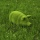 Декоративна садова фігурка з полістоуна для дачі "Green Pig" 35х15х18см