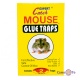     "Expert - Catch Mouse glue traps" 2  1318 