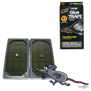       Catch Expert Large Glue Traps 13x25  (2/)