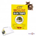 Клейова пастка для мишей "Expert - Catch Mouse glue traps" 2 аркуші 13х18 см
