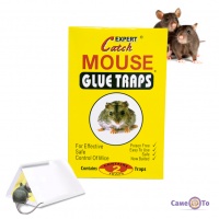 Клейова пастка для мишей 