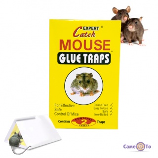     "Expert - Catch Mouse glue traps" 2  1318 